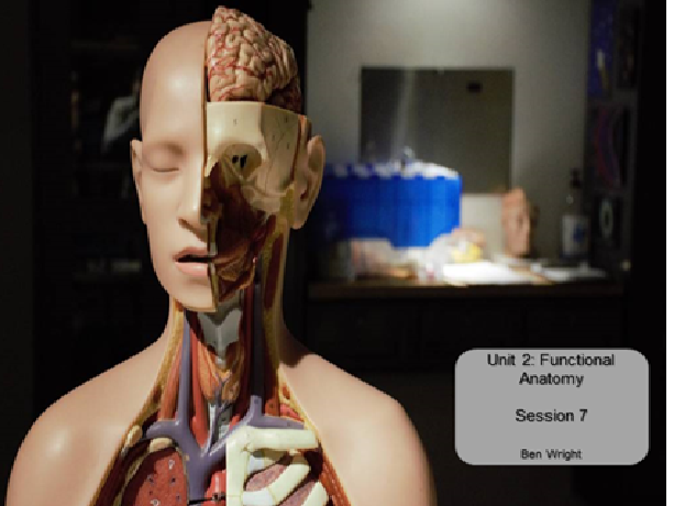 Functional Anatomy BTEC Nationals Sport and Exercise Science Unit 2 Lesson 7