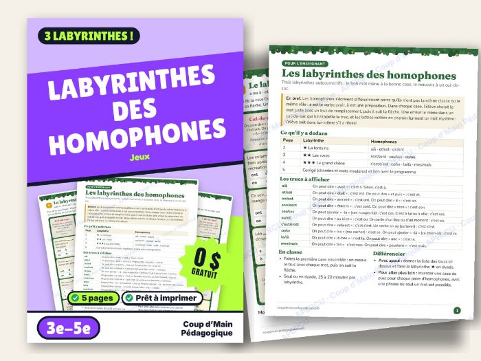 FREE French Homophones Mazes Grade 3-5 Self-Checking | Labyrinthes