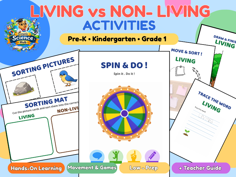 Living vs Non-Living Activities EYFS