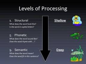 Cambridge IGCSE Psychology 0266