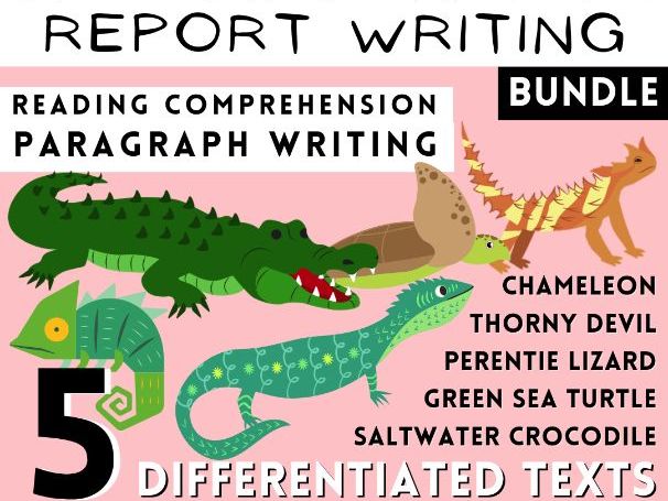 5 Reptile Animal Information Texts, Report Writing & Reading Analysis Work Bundle