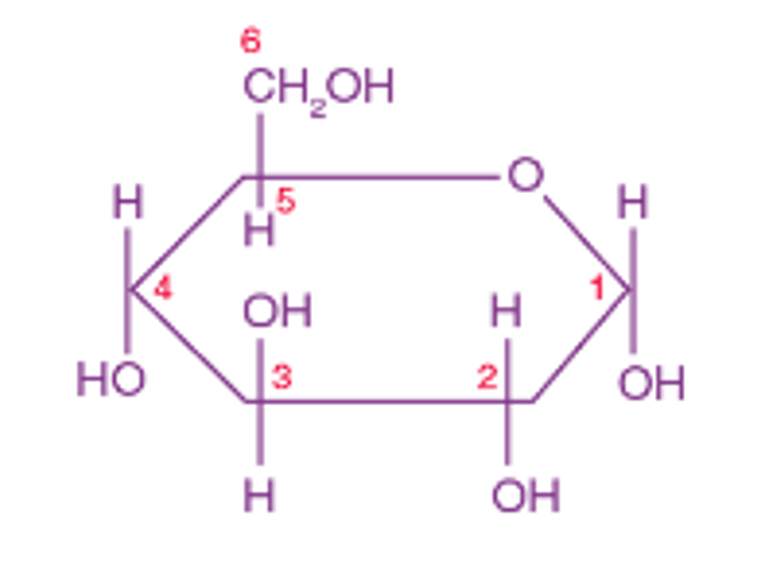 AQA 3.1.1 Monomers and polymers (Biological Molecules)