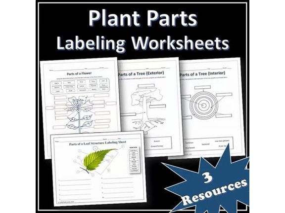 Plant Parts Labeling Worksheets Bundle | Activities | EDITABLE