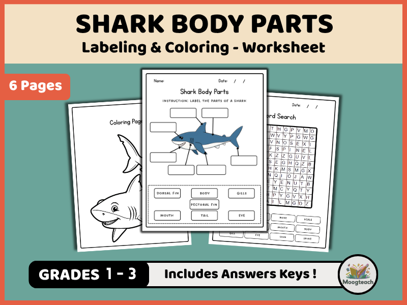 Shark Body Parts | Marine Biology | Cartilaginous Fish | Labeling & Coloring | Science Worksheet | K