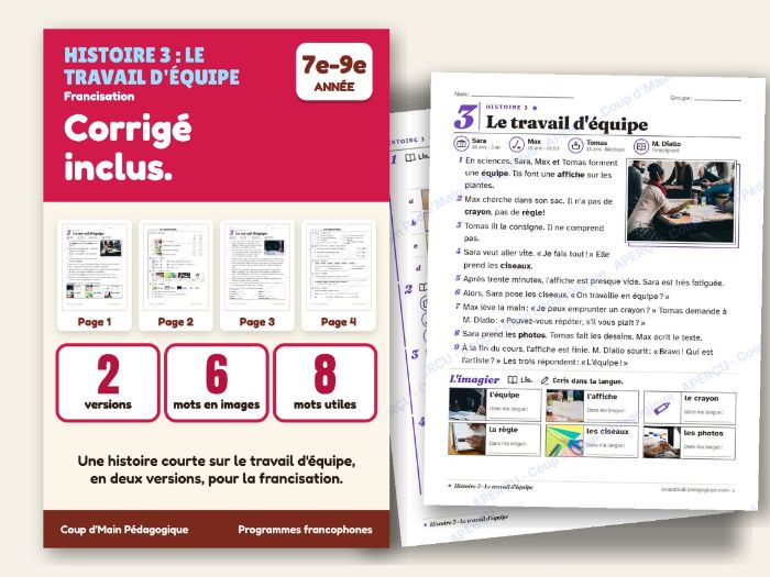 French Newcomer Short Story Grade 7-9 Teamwork in Class | Le travail d'équipe