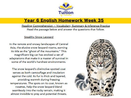 35. Year 6 Reading Comprehension & Apostrophes for Plural Possession