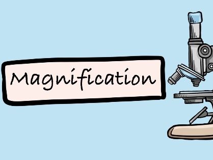 A Level Biology - Microscopy Revision