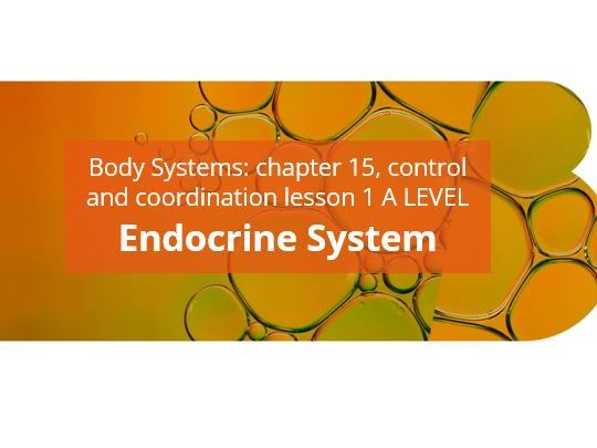 ENDOCRINE SYSTEM [Biology 9700]