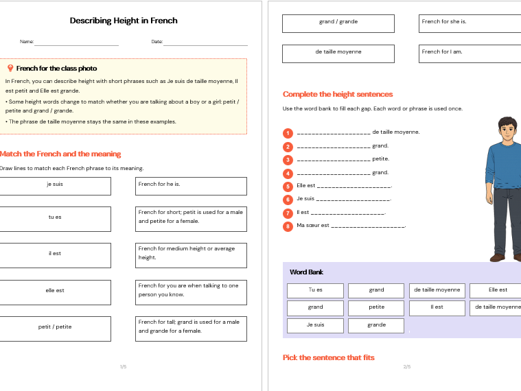 Describing Height in French: Interactive Vocabulary Worksheet