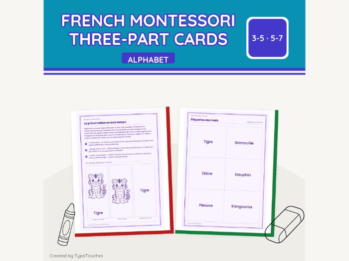 French Montessori Three-Part Cards | 26 pp