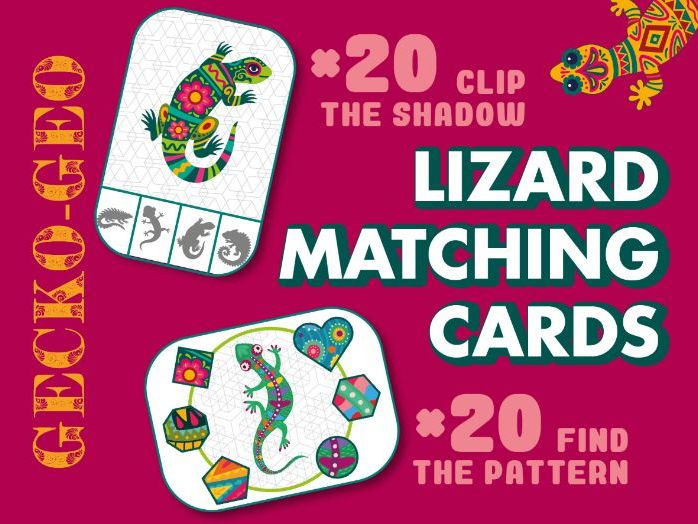 Matching Cards | Shadow & Pattern | hands-on play