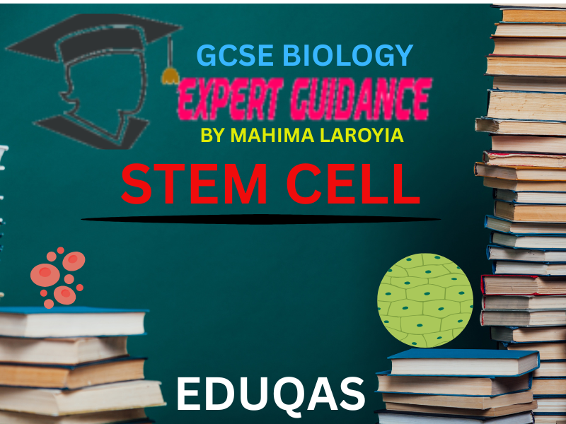 EDUQAS - GCSE BIOLOGY STEM CELLS