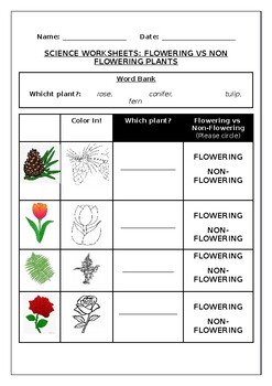 Science Worksheets Flowering Vs Non Flowering Plants Teaching Resources Science Worksheets Flowering Vs Non Flowering Plants Teaching Resources