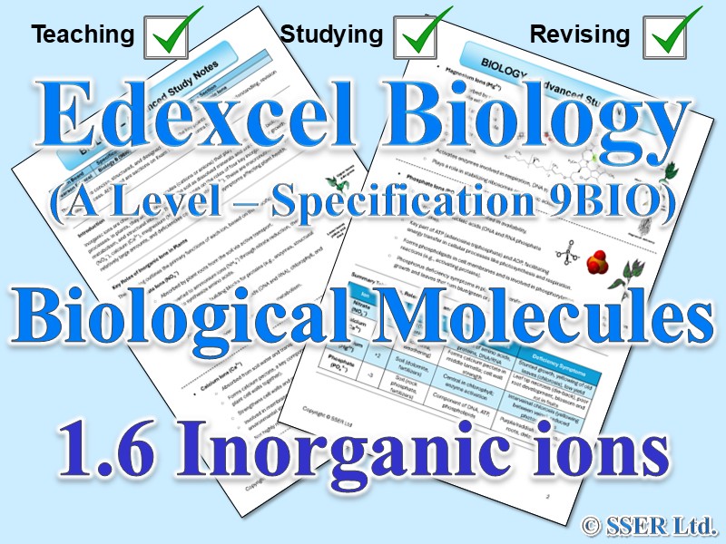BIOA_EDX Topic Notes: 1.6 Inorganic ions