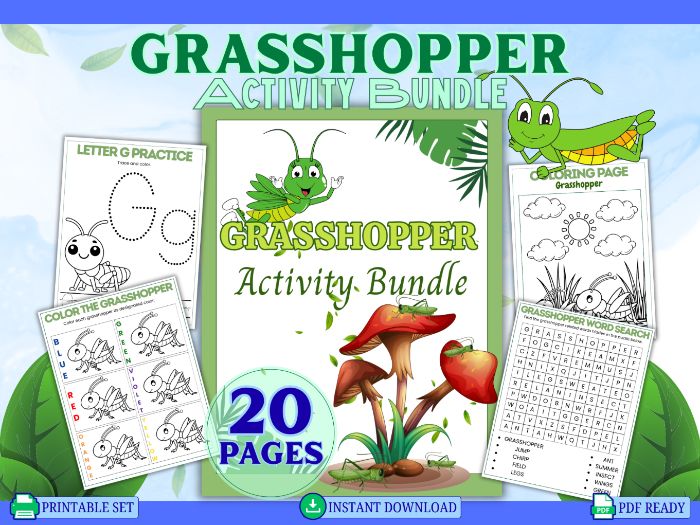 Grasshopper Activity Bundle-For Grades K-2nd, Counting, DTD, Writing, Find the Objects....