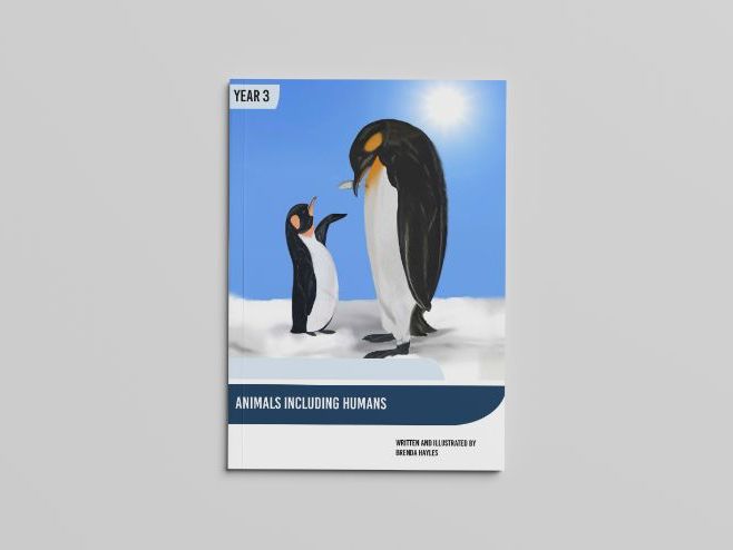 Animals including Humans Year 3 Booklet