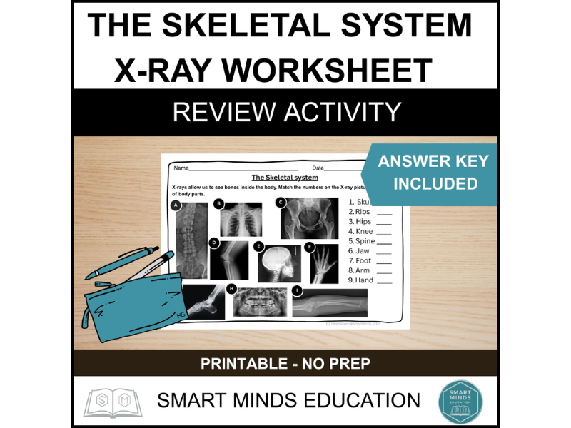 THE SKELETAL SYSTEM X-RAY MATCHING ACTIVITY | HUMAN BODY SYSTEMS