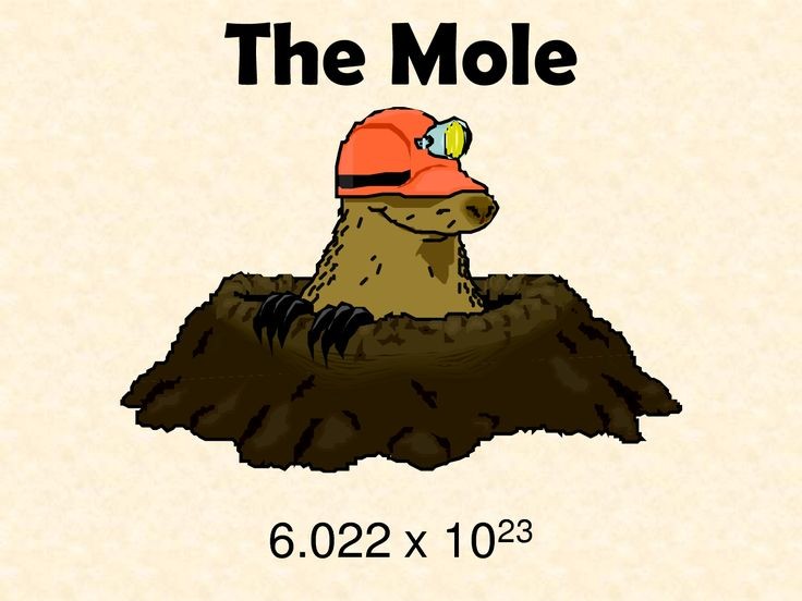 Mole на русском. Mole. mole перевод. what is a mole?. mole 6.022 значек.