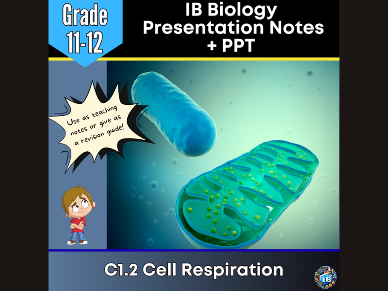 IB DP Biology C1.2 Cell Respiration Teaching Notes & PowerPoint 2026