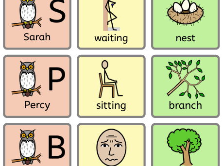 Colourful Semantics: Owl Babies