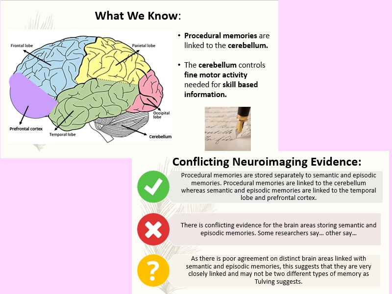 Types of Long Term Memory AO3 AQA Psychology AS Level Teaching Resources