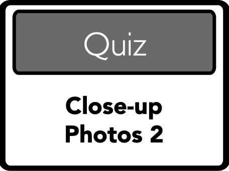 Quiz: Close-up Photos 2 | Teaching Resources