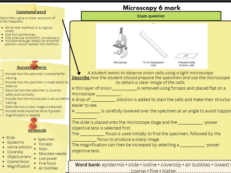 Free GCSE Biology Required Practical 6marker Worksheet: Microscopy (Onion Cells)