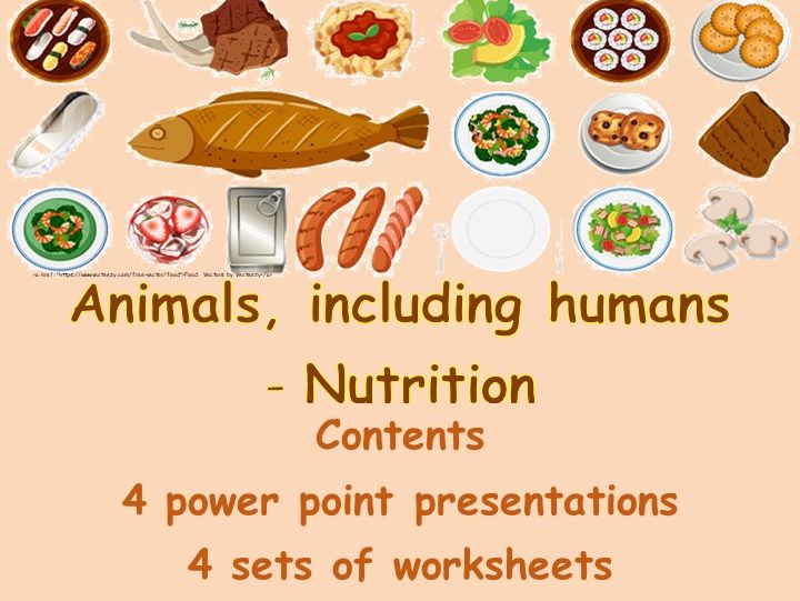 NUTRITION  - Animals including Humans Primary Science
