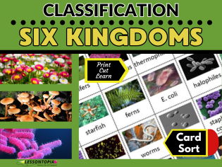 Six Kingdoms | Classification | Card Sort | KS2–KS3 Science