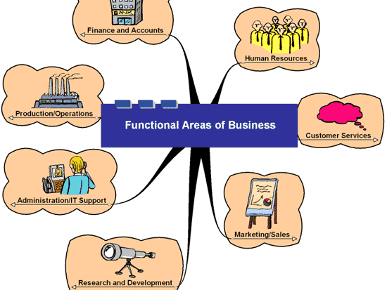 Functional Areas / Departments