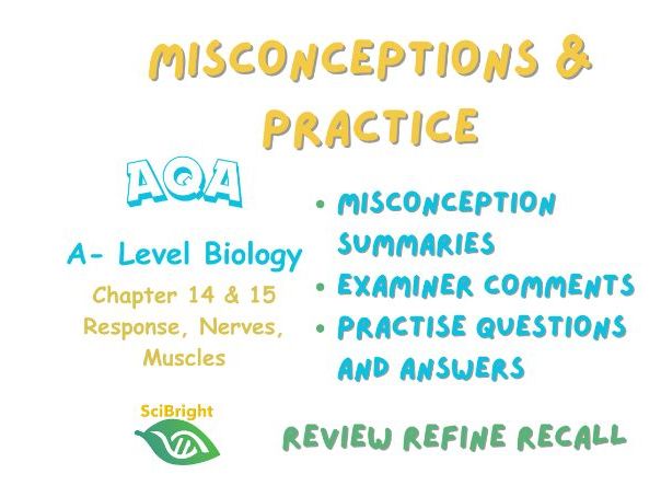 AQA A level Biology Revision 2026 Misconception & Practice Response, Nervous co-ordination, Muscles