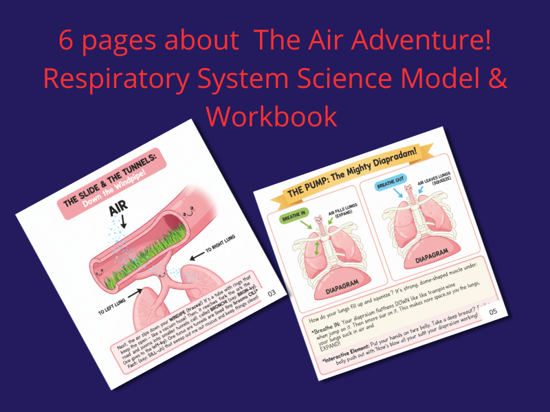 The Air Adventure! Respiratory