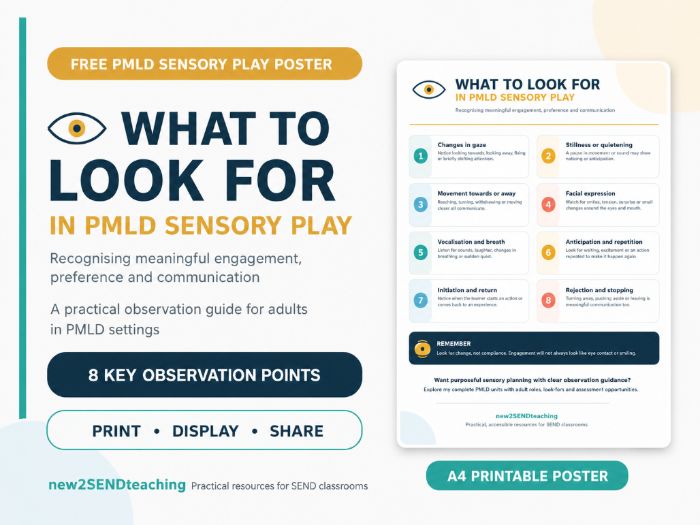 FREE PMLD Sensory Play Poster – What to Look For | SEND Engagement Guide