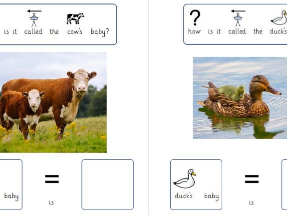 Animal babies Vocabulary symbols activity