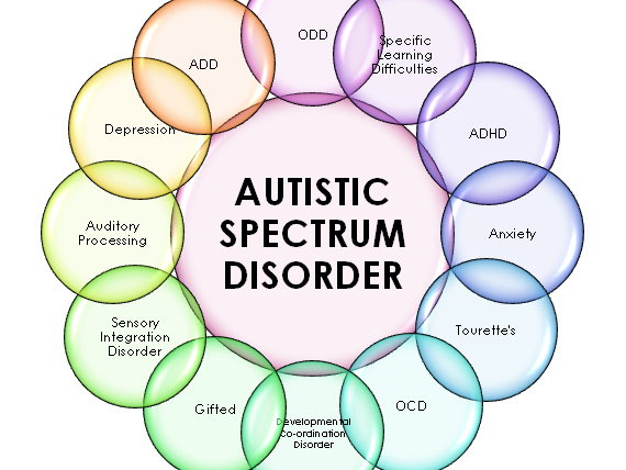 Introduction to Autism in the mainstream primary classroom- power-point to be used in CPD