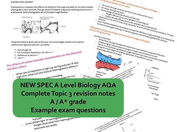 CONCISE A* AS Biology AQA Topic 3 (gas exchange, digestion, mass transport) revision notes