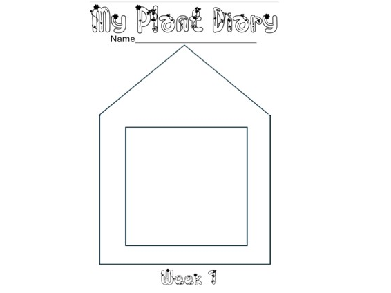 Simple 4-Week Plant Diary