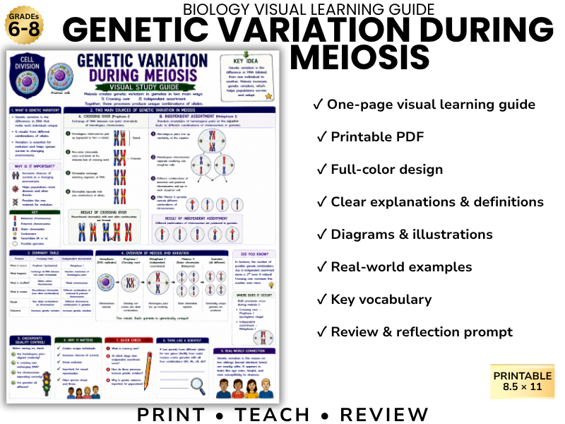 GENETIC VARIATION DURING MEIOSIS | Biology Visual Learning Guide | Grade 8 & Middle School Science