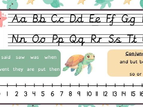 Turtle Themed Desk Mat - KS1