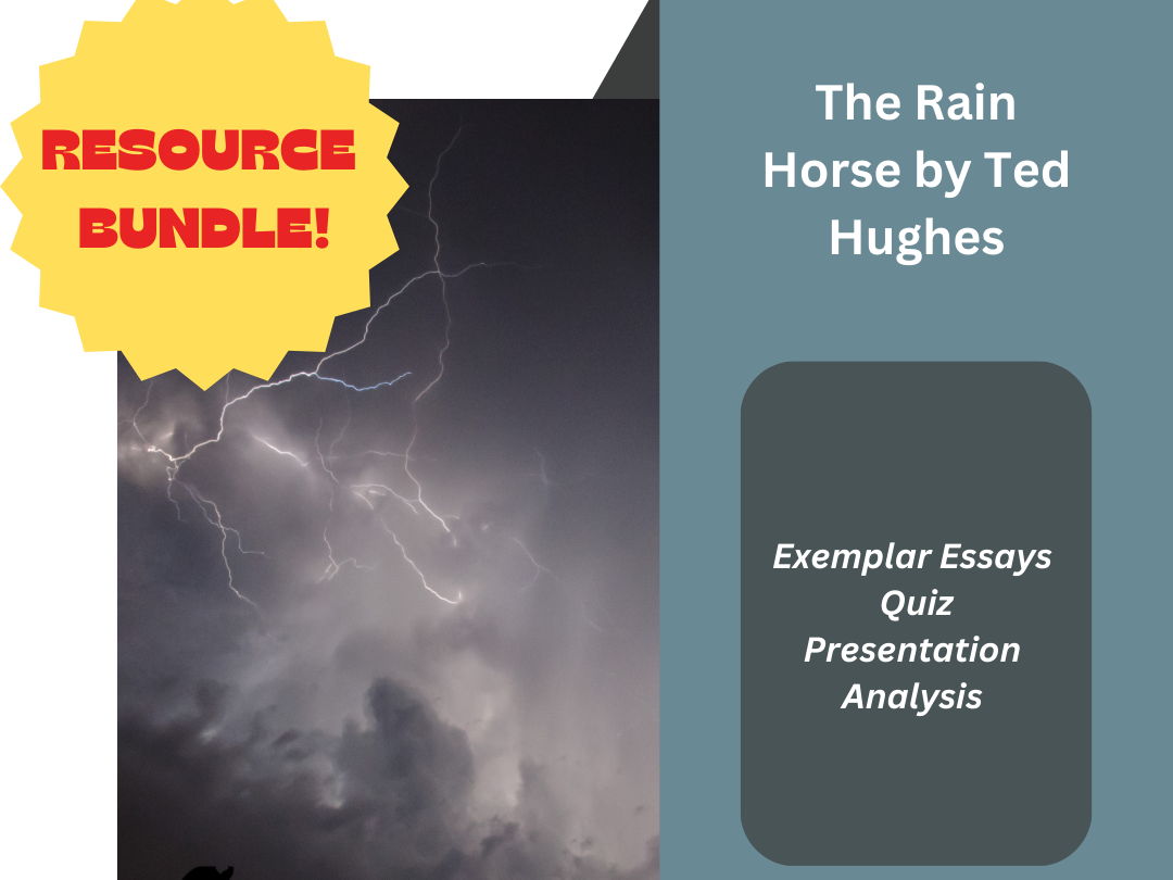 The Rain Horse by Ted Hughes Bundle | Teaching Resources