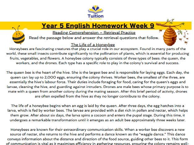 9. Year 5- Reading Comprehension & Grammar