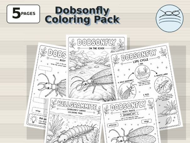 Dobsonfly Coloring Pages | Rare Aquatic Insect Science Pack for Kids (PreK-Grade 3)