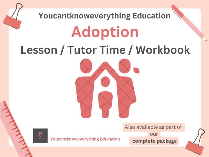 Adoption Pupil Workbook PSHE