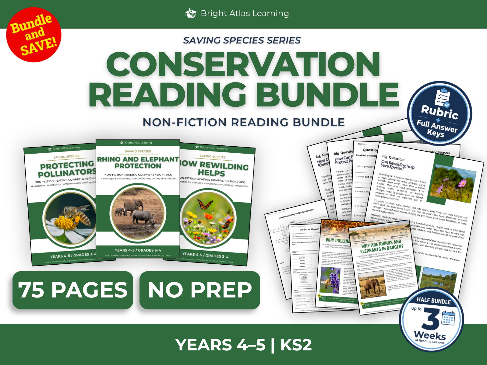 Pollinators, Rhinos and Rewilding Reading Bundle | KS2 Years 4–5