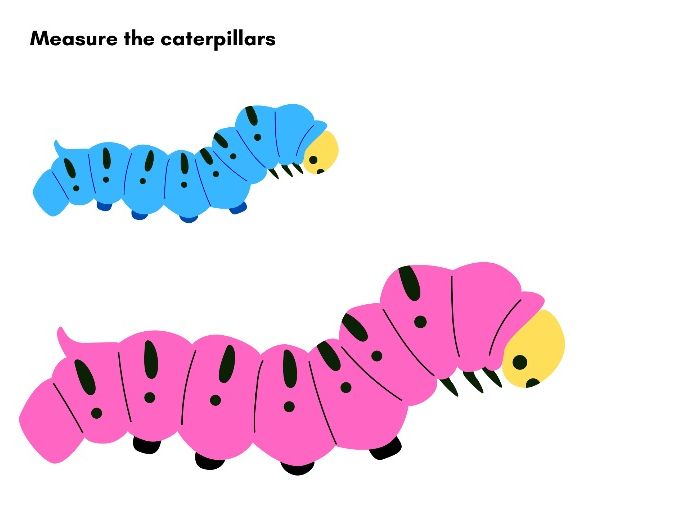 Measure the Caterpillars Using Non-Standard Units – EYFS Maths Activity