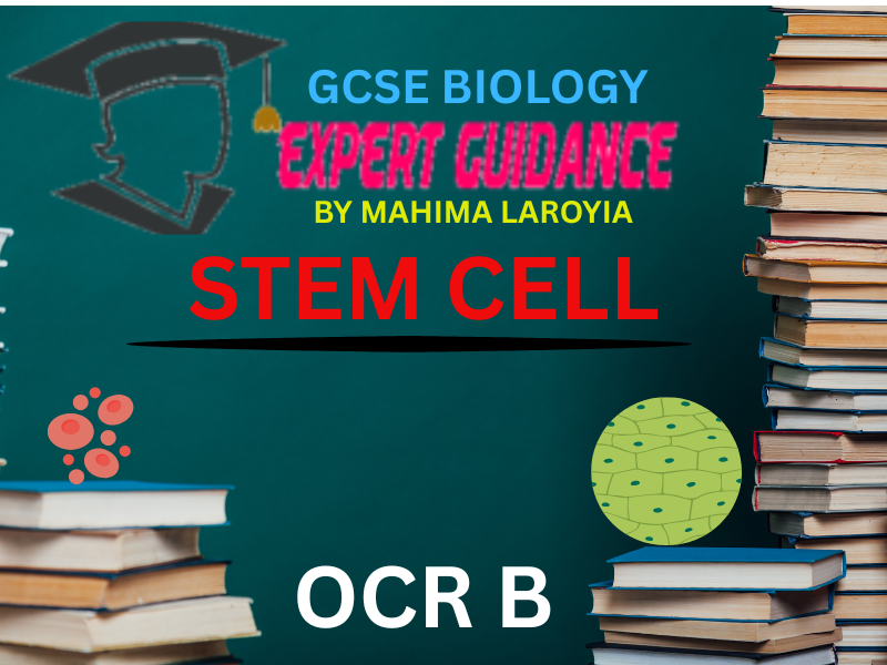 OCR B - GCSE BIOLOGY STEM CELLS