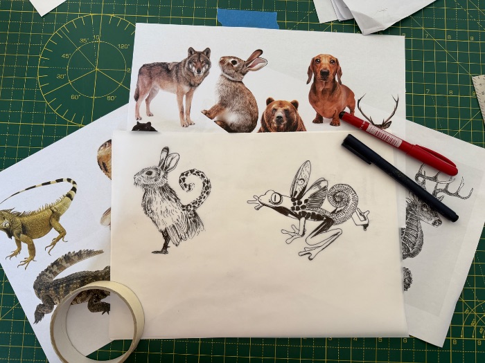 How to Draw Pen Animal Hybrids with Tracing Paper Year 8 Lesson