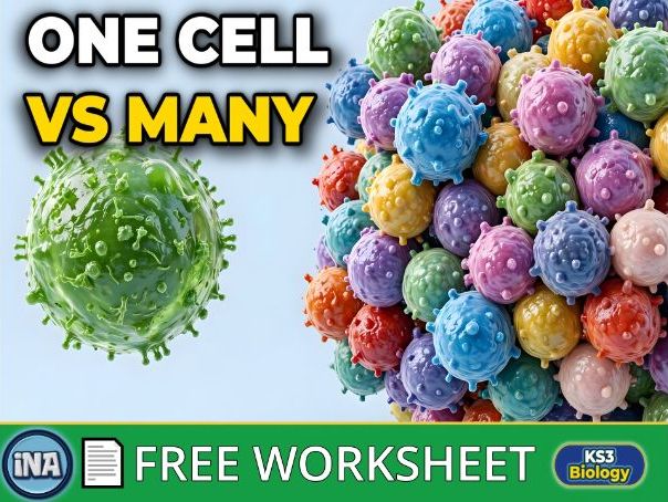 Multicellular and Unicellular Organisms - FREE KS3 Biology Worksheet