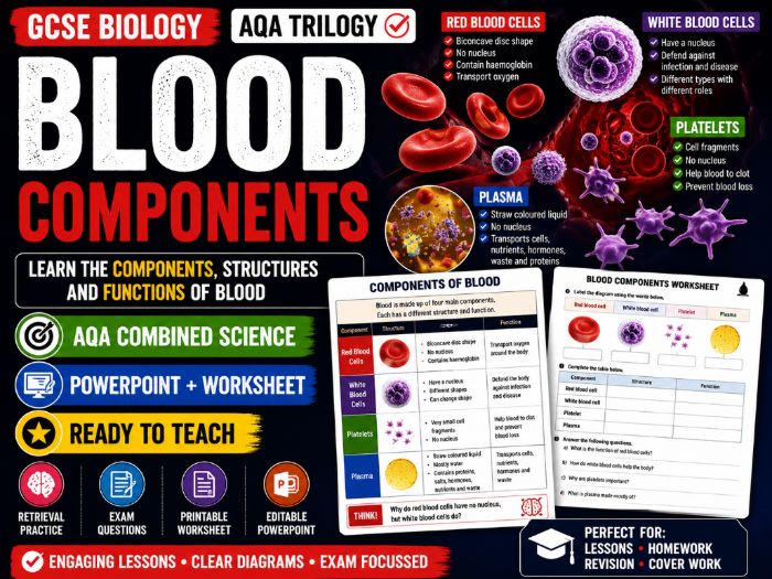 Blood Components Lesson | GCSE Biology | AQA Combined Science Trilogy | PowerPoint + Worksheet