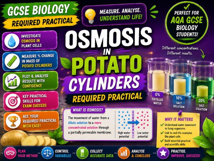 GCSE Biology: Osmosis in Potato Cylinders Required Practical